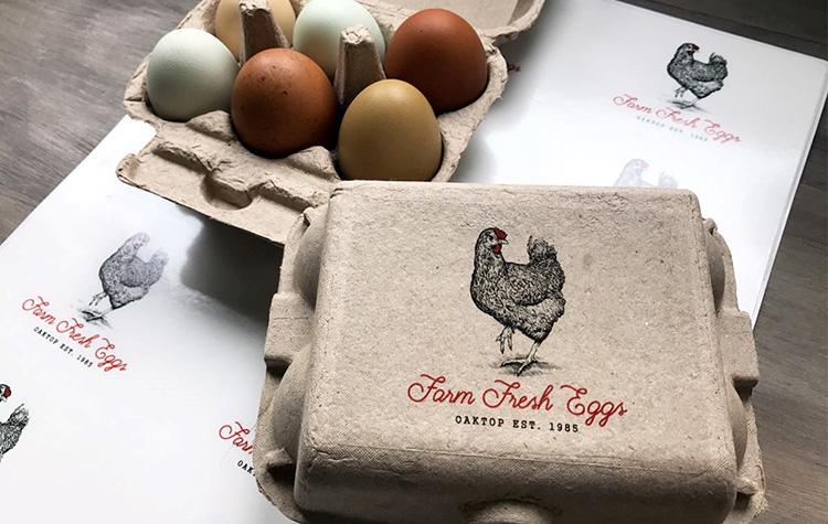 Case Study: Oaktop Farms Free Range Egg Packaging Stickers