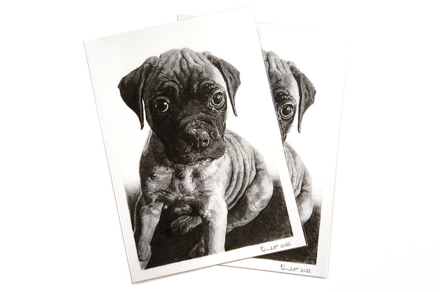 Archival giclee fine art photo print featuring a black and white puppy portrait printed on cotton paper