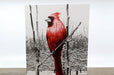 Bamboo Greeting Cards 16pt - Clubcard Printing USA