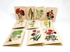 Botanical Greeting Cards - Clubcard Printing USA