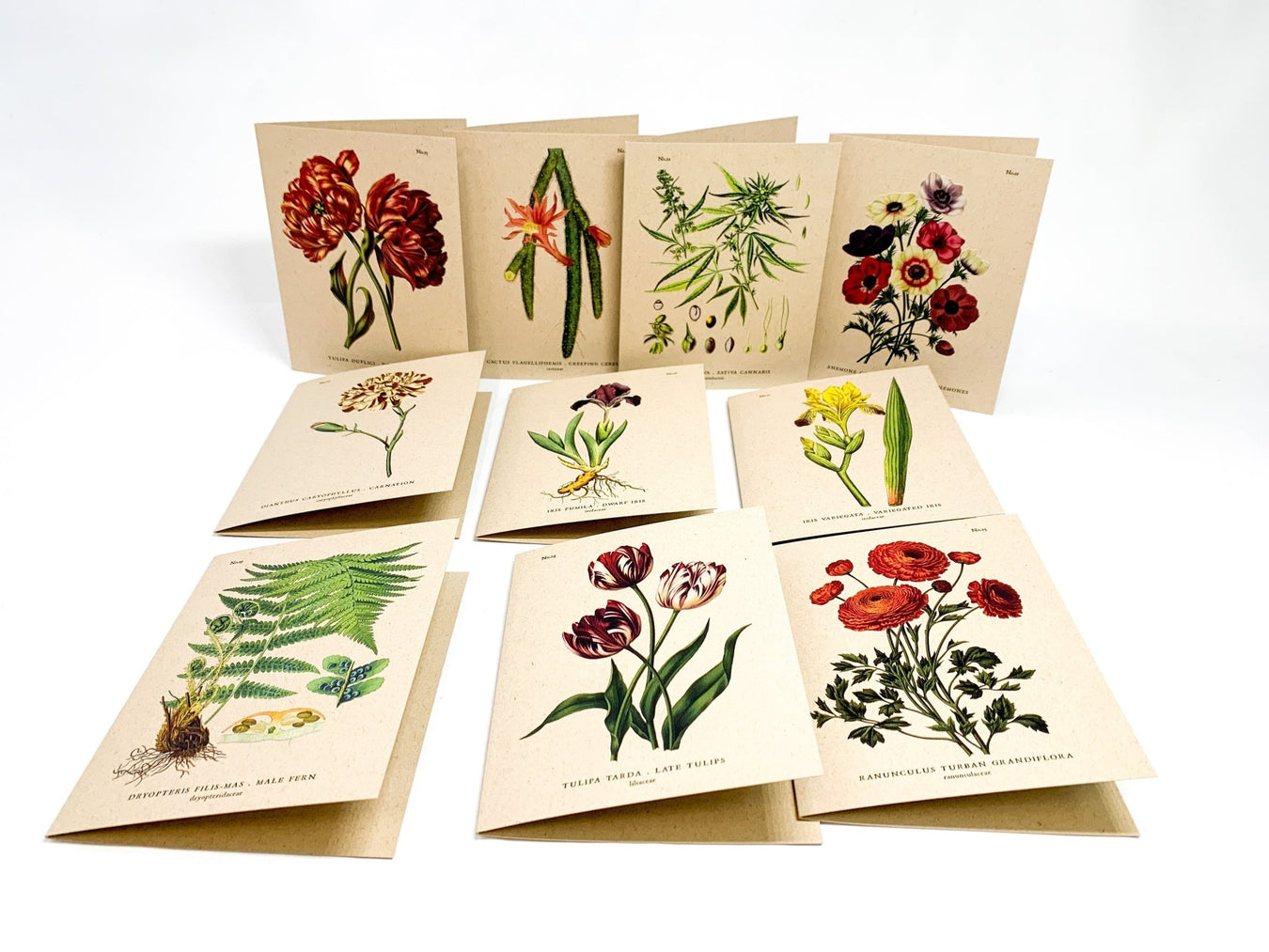 Greeting Cards From The Gift Shop