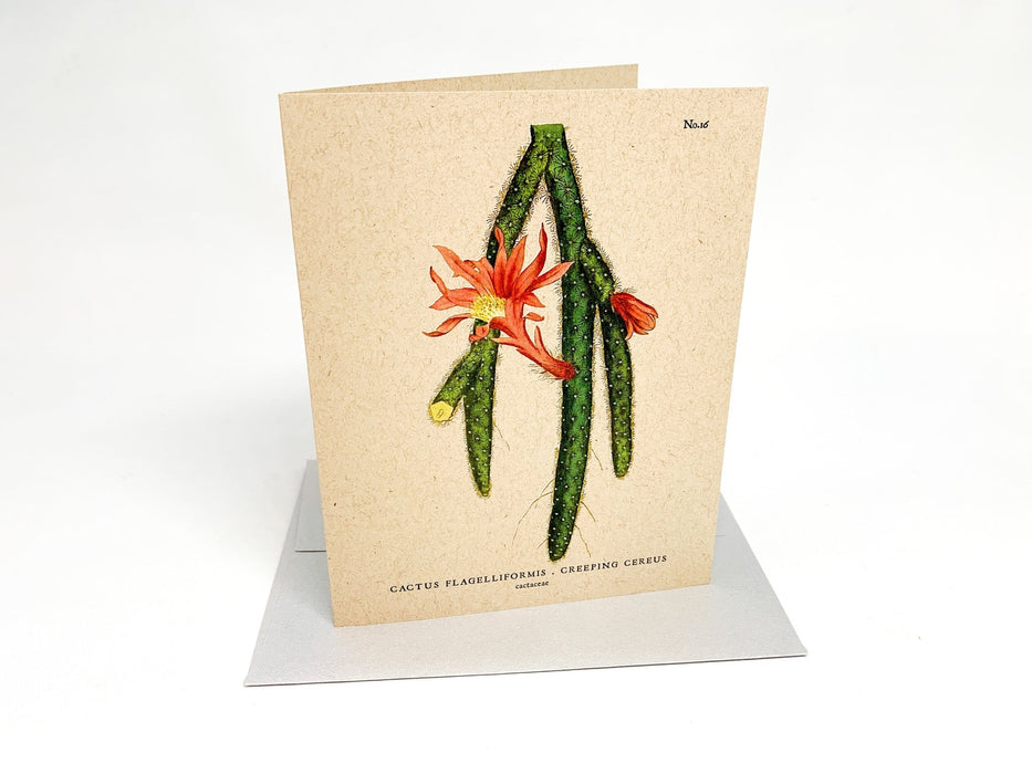 Botanical Greeting Cards - Clubcard Printing USA