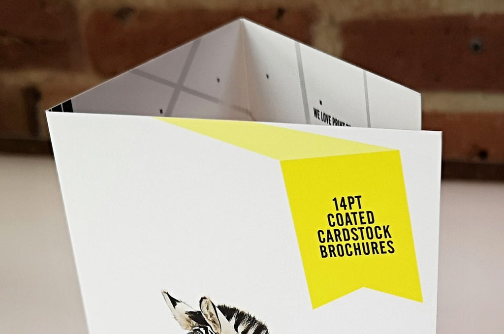 Cards and Hang Tags Printed on 14 Point Coated Card Stock at Clubcard ...