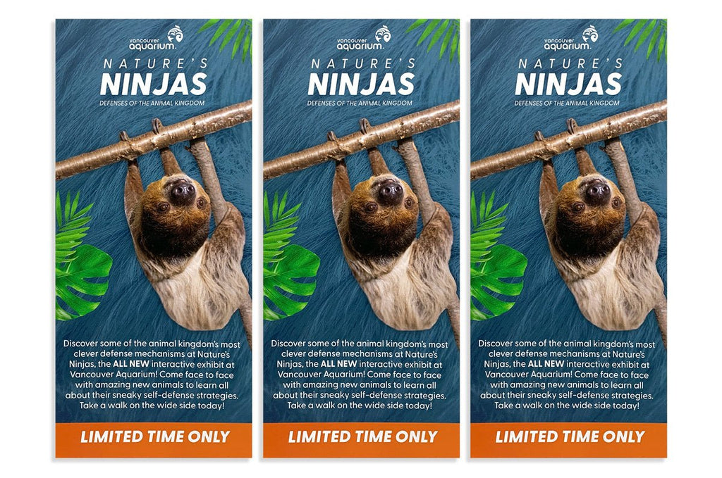 15pt Coated Cards — Clubcard Printing USA