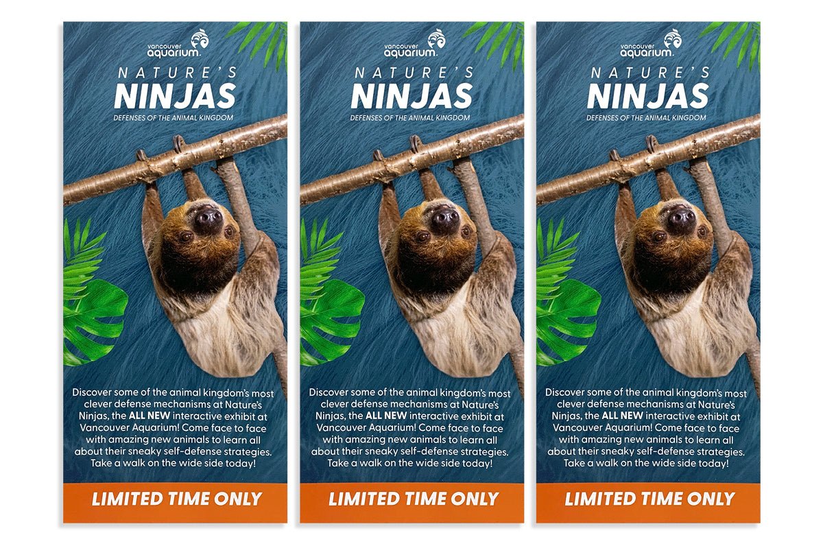 Rack Card Printing On 15pt Coated Card Stock With Optional Lamination ...