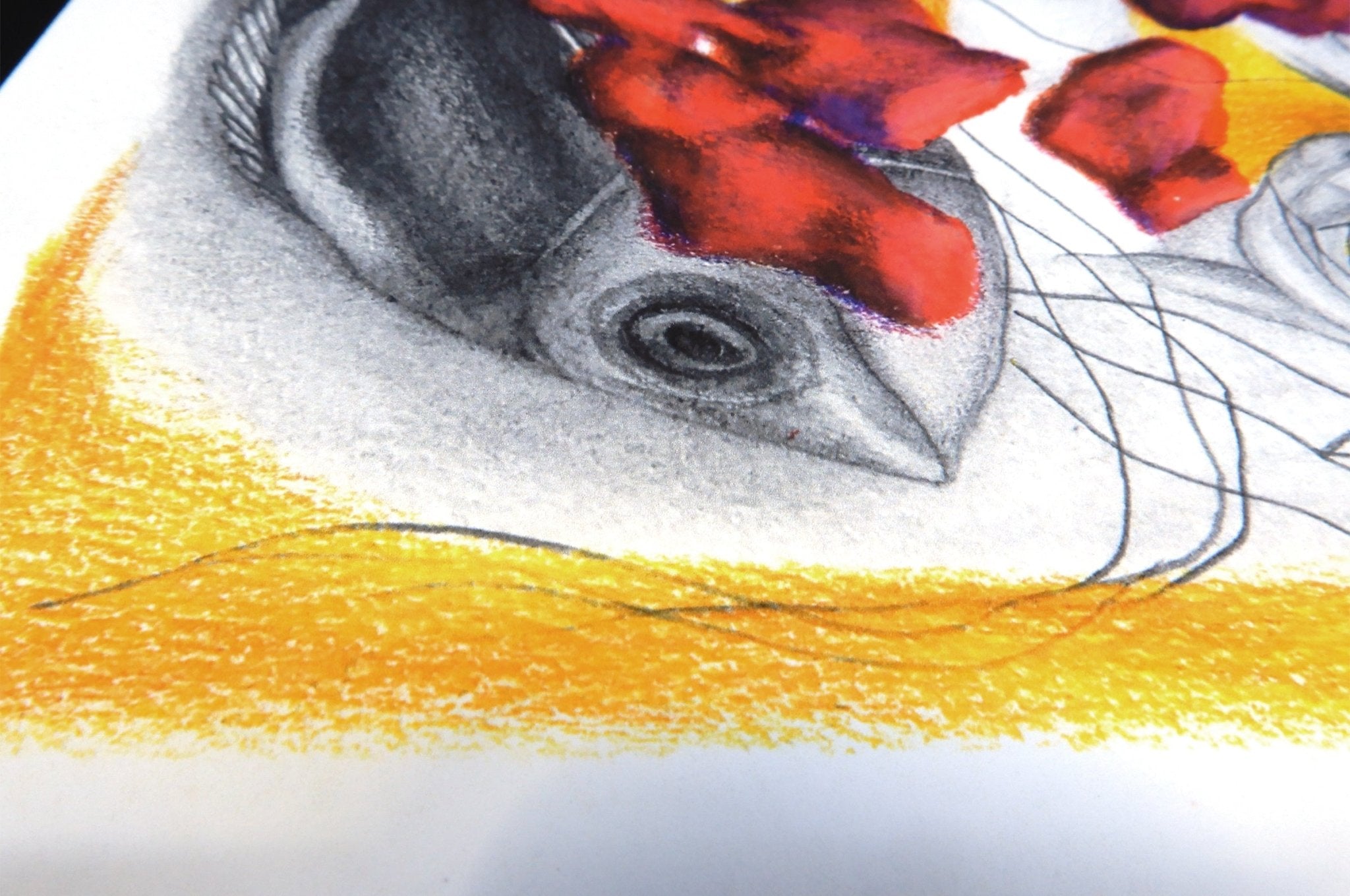 Archival giclée fine art print featuring a close-up drawing of a bird with vivid red and orange accents on textured paper
