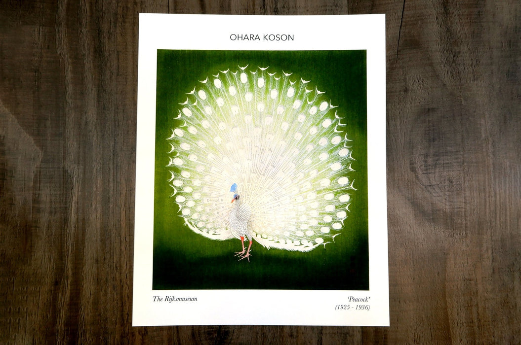Archival giclée fine art print of a white peacock woodblock print illustration by Ohara Koson on cotton paper