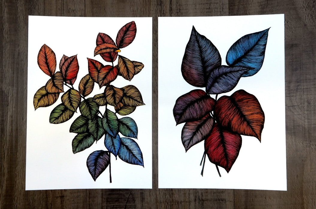 Two archival giclée fine art prints featuring colorful leaf line art illustrations printed on cotton paper
