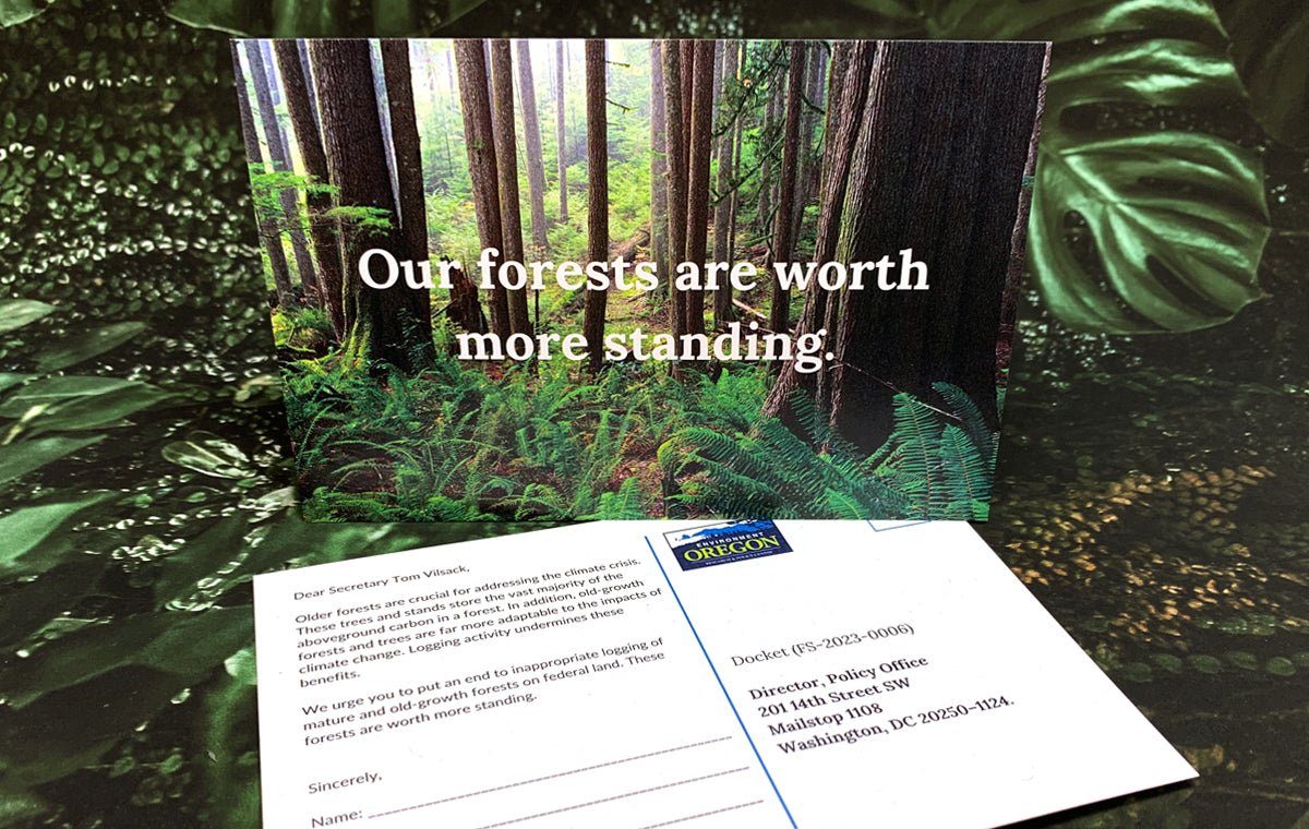 Tree Friendly Postcards