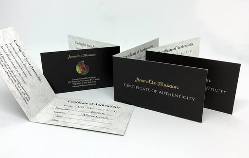 Folding business card printed on 14pt uncoated stock for Ammolite Museum| Business card is designed horizontally with the fold along the short side, and opens like a book | Clubcard Printing USA
