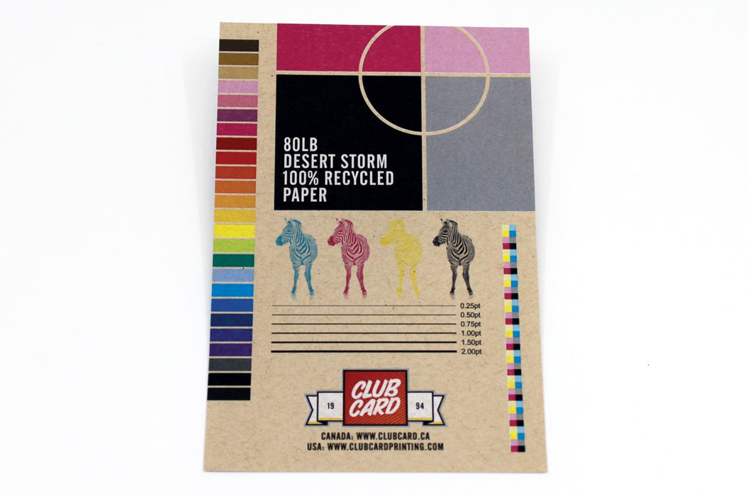Recycled Desert Storm Paper Fliers 80lb